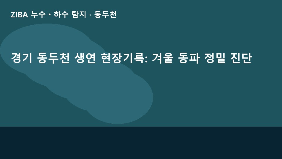 경기 동두천 생연 현장기록: 겨울 동파 정밀 진단